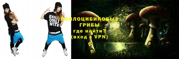 гашик Луховицы