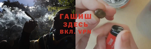 индика Ладушкин
