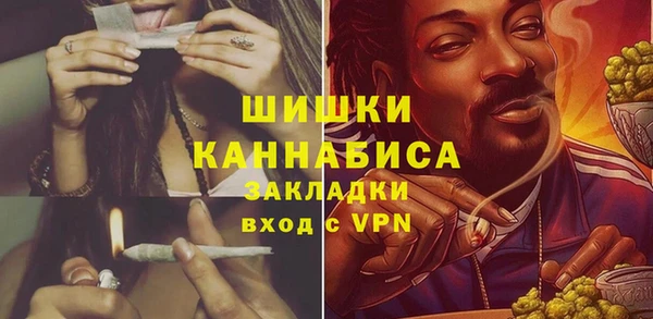 Альфа ПВП Лиски