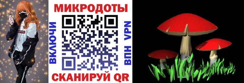 где купить наркотик Мариинский Посад Псилоцибиновые грибы Psilocybine cubensis